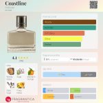 عطر ادکلن کوست لاین هالیستر - Coastline Hollister - بررسی، قیمت و خرید