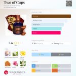 عطر ادکلن تو آف کاپز هاوس آو ماتریارک - Two of Cups House of Matriarch - بررسی، قیمت و خرید