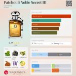 عطر ادکلن پاچولی نوبل سکرت تری آیزنبرگ - Patchouli Noble Secret III Eisenberg - بررسی، قیمت و خرید