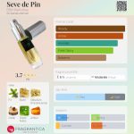 عطر ادکلن سو دو پین دی اس اچ پرفیومز - Seve de Pin DSH Perfumes - بررسی، قیمت و خرید