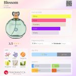 عطر ادکلن بلاسم اِلُد - Blossom Elode - بررسی، قیمت و خرید