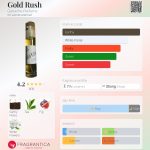 عطر ادکلن گلد راش گنش پرفیومز - Gold Rush Ganache Parfums - بررسی، قیمت و خرید
