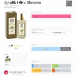 عطر ادکلن آیوالیک اولیو بلوسوم ایوپ صبری تونجر - Ayvalik Olive Blossom Eyüp Sabri Tuncer - بررسی، قیمت و خرید