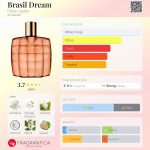 عطر ادکلن برازیل دریم استی لودر - Brasil Dream Estée Lauder - بررسی، قیمت و خرید