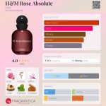 عطر ادکلن اچ اند ام رز ابسولوت اچ اند ام - H&M Rose Absolute H&M - بررسی، قیمت و خرید