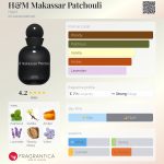 عطر ادکلن اچ اند ام ماکاسار پچولی اچ اند ام - H&M Makassar Patchouli H&M - بررسی، قیمت و خرید