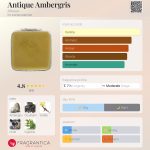 عطر ادکلن آنتیک امبرگریس افتلیه - Antique Ambergris Aftelier - بررسی، قیمت و خرید
