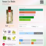 عطر ادکلن سول بوی گوبین دوده - Sous Le Buis Gobin Daudé - بررسی، قیمت و خرید