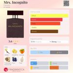 عطر ادکلن میسیز اینکاگنیتو فابرلیک - Mrs. Incognito Faberlic - بررسی، قیمت و خرید