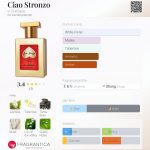 عطر ادکلن چائو استرونزو ای‌سوتکیس - Ciao Stronzo e-Suitcase - بررسی، قیمت و خرید