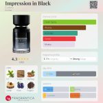عطر ادکلن ایمپریشن این بلک یودورا - Impression in Black Eudora - بررسی، قیمت و خرید