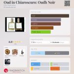 عطر ادکلن اود این کیاروسکورو: اود نویر دی اس اچ پرفیومز - Oud in Chiaroscuro: Oudh Noir DSH Perfumes - بررسی، قیمت و خرید
