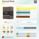 عطر ادکلن مارکونی بلک الیزه فشن - Marconi Black Elysees Fashion - بررسی، قیمت و خرید