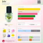 عطر ادکلن ژوئن اسکیس پرفیوم - Juin Esquisse Parfum - بررسی، قیمت و خرید