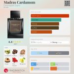 عطر ادکلن مدراس کارداموم ارمنه جیلدو زنیا - Madras Cardamom Ermenegildo Zegna - بررسی، قیمت و خرید