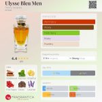 عطر ادکلن یولیسه بلو من هنری ژاک - Ulysse Bleu Men Henry Jacques - بررسی، قیمت و خرید