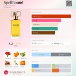 عطر ادکلن اسپل باند اِستی لادر - SpellBound Estée Lauder - بررسی، قیمت و خرید