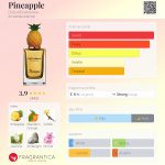 عطر ادکلن پاین اپل دولچه گابانا - Pineapple Dolce&Gabbana - بررسی، قیمت و خرید