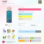 عطر ادکلن اریل دفاین‌می کریتیو استودیو - Ariel DefineMe Creative Studio - بررسی، قیمت و خرید