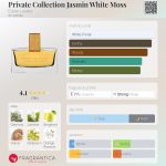 عطر ادکلن پرایوت کالکشن یاسمین وایت ماس اِستی لادر - Private Collection Jasmin White Moss Estée Lauder - بررسی، قیمت و خرید