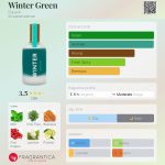 عطر ادکلن ویِنتر گرین دازاین - Winter Green Dasein - بررسی، قیمت و خرید