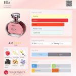 عطر ادکلن الا فیورچی - Ella Fiorucci - بررسی، قیمت و خرید