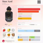 عطر ادکلن ماس آیاد ال نبیل - Musc Ayad El Nabil - بررسی، قیمت و خرید
