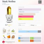 عطر ادکلن ماسک مدینا ال نبیل - Musk Medina El Nabil - بررسی، قیمت و خرید