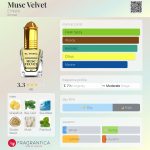 عطر ادکلن ماسک ولوت اِل نبیل - Musc Velvet El Nabil - بررسی، قیمت و خرید