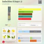 عطر ادکلن ایندوشین دی اس اچ پرفیومز - Indochine (Ginger 2) DSH Perfumes - بررسی، قیمت و خرید