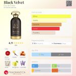 عطر ادکلن بِلَک وِلوِت اودوبی - Black Velvet Eau de Dubai - بررسی، قیمت و خرید