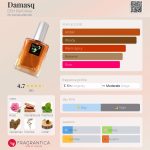 عطر ادکلن دمشق دی اس اچ پرفیومز - Damasq DSH Perfumes - بررسی، قیمت و خرید