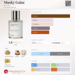 عطر ادکلن ماسکی گایاک داسیِه - Musky Gaiac Dossier - بررسی، قیمت و خرید