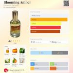 عطر ادکلن بلومینگ امبر فدریکو پارفومز - Blooming Amber Frederico Parfums - بررسی، قیمت و خرید