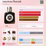 عطر ادکلن آمریکن فارو فولکوایندز - American Pharoah Folkwinds - بررسی، قیمت و خرید