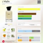 عطر ادکلن هفت میلیا فابریکا دلا موسا - 7 Miglia Fabbrica Della Musa - بررسی، قیمت و خرید