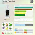 عطر ادکلن پینیون پاین من دام پرفیومری - Pinyon Pine Man Dame Perfumery - بررسی، قیمت و خرید
