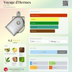 عطر ادکلن وویاژ د'هرمس اِرمِس - Voyage d'Hermes Hermès - بررسی، قیمت و خرید