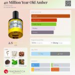 عطر ادکلن چهل میلیون یر اُلد اَمبِر دی‌اس اند دورگا - 40 Million Year Old Amber DS&Durga - بررسی، قیمت و خرید