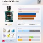عطر ادکلن امبر آف د سی هابیبی نیویورک - Ambre Of The Sea Habibi NY - بررسی، قیمت و خرید