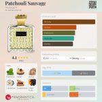 عطر ادکلن پاچولی ساواژ هووبیگان - Patchouli Sauvage Houbigant - بررسی، قیمت و خرید