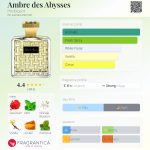 عطر ادکلن آمبر دز ابیس اوبیگان - Ambre des Abysses Houbigant - بررسی، قیمت و خرید