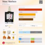 عطر ادکلن ماسک موریسکو انصار عود - Musc Morisco Ensar Oud - بررسی، قیمت و خرید