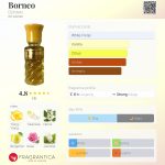 عطر ادکلن بورنئو دزینتارس - Borneo Dzintars - بررسی، قیمت و خرید