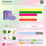 عطر ادکلن پریم رز اینگلیش لاندری - Primrose English Laundry - بررسی، قیمت و خرید
