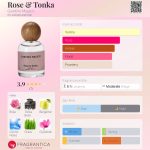 عطر ادکلن رز اند تونکا جاردینو ماجیکو - Rose & Tonka Giardino Magico - بررسی، قیمت و خرید