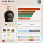 عطر ادکلن بلک تورن گلدن جودی - Black Thorn Golden Judi - بررسی، قیمت و خرید