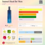 عطر ادکلن سانست هیت فور من اسکادا - Sunset Heat for Men Escada - بررسی، قیمت و خرید