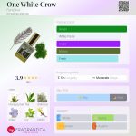 عطر ادکلن وان وایت کِرو فانتوم - One White Crow Fantôme - بررسی، قیمت و خرید