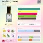 عطر ادکلن فوی دی‌اس‌اچ پرفیومز - Feuilles (Leaves) DSH Perfumes - بررسی، قیمت و خرید
